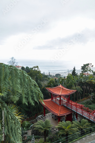 Amazing green garden with Palm trees, Japanese red gazebo on Madeira island near the ocean
