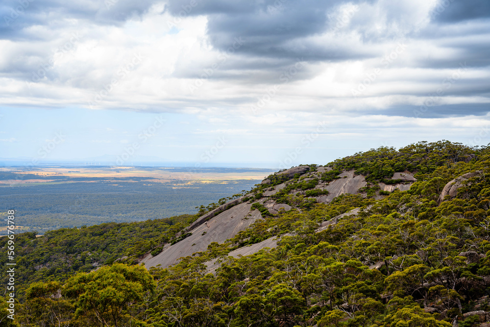 view from the hill