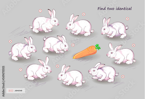 Logic puzzle for children and adults. Can you find two identical bunnies? Page for kids brain teaser book. Task for attentiveness.  IQ test. Play online. Vector cartoon illustration.
