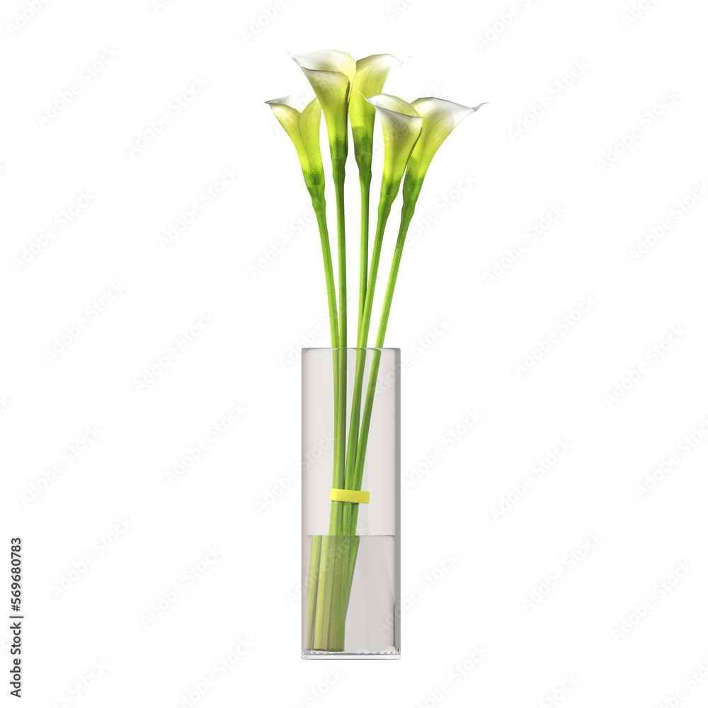 decorative flowers and plants for the interior, isolated on transparent background, 3D illustration, cg render decorative flowers and plants for the interior, isolated on transparent background, 3D illustration, cg render