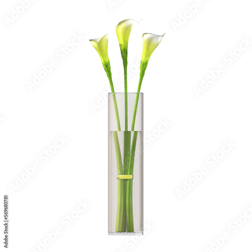 decorative flowers and plants for the interior  isolated on transparent background  3D illustration  cg render