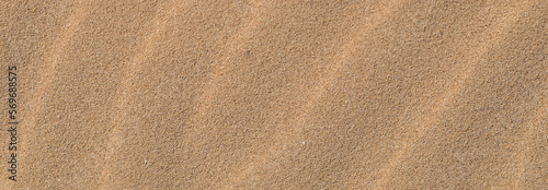 Sand texture. Sandy beach for background. View from above