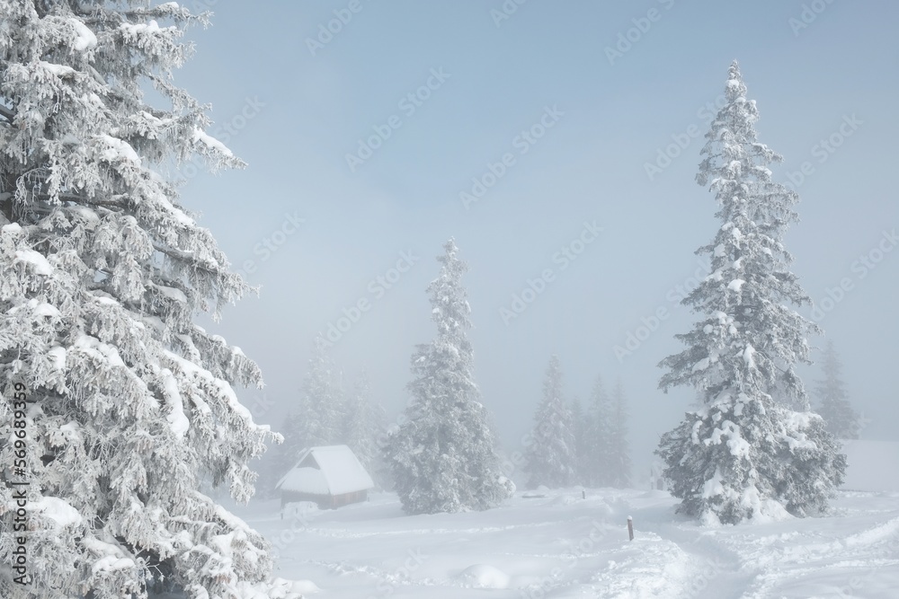 Amazing winter scenery of Tatra Mountains - Rusinowa Polana (Rusinowa Glade) with
shepherd's huts, Tatra National Park, Poland Amazing winter scenery of Tatra Mountains - Rusinowa Polana (Rusinowa Glade) with
shepherd's huts, Tatra National Park, Poland