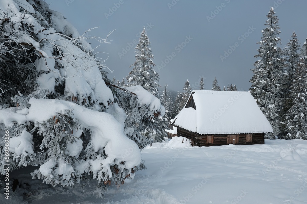 Amazing winter scenery of Tatra Mountains - Rusinowa Polana (Rusinowa Glade) with 
shepherd's huts, Tatra National Park, Poland