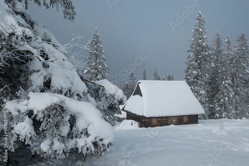 Amazing winter scenery of Tatra Mountains - Rusinowa Polana (Rusinowa Glade) with  shepherd's huts, Tatra National Park, Poland © Iwona