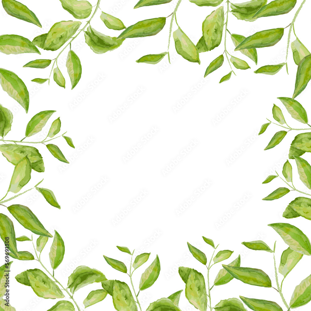 Herbal vector watercolor frame. Hand painted green branches on white background. Natural card design.
