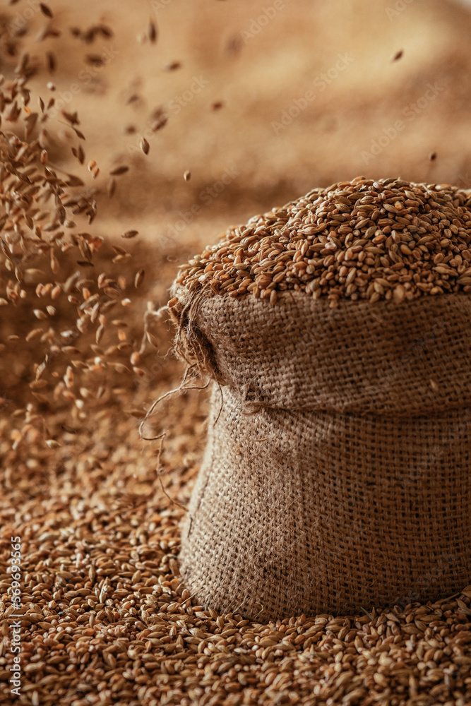 Harvested wheat grain in a linen sack