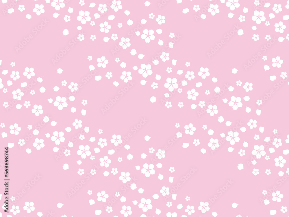 桜白1B 桜白1B