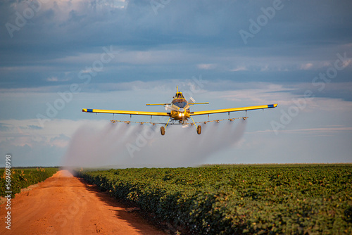 Avião agrícola no algodão photo