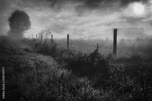 dark landscape with mystic fog around meadwo with grass and fence in black and white