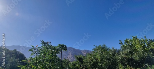 sky and grass