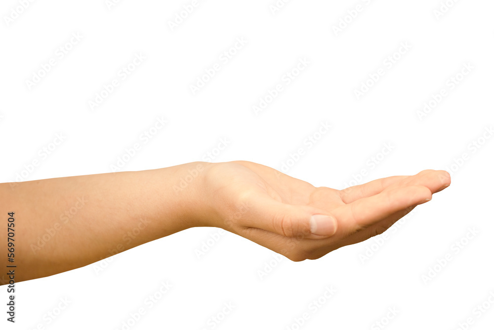 A woman's hand on a white background is stretched palm up, asking for help alms. The isolated hand of a person with an outstretched palm gives or asks A woman's hand on a white background is stretched palm up, asking for help alms. The isolated hand of a person with an outstretched palm gives or asks