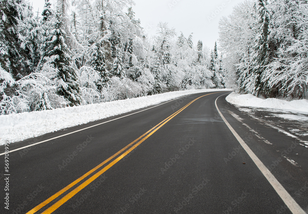 Snow Covered Forest, Route 10 In Hamilton County, Adirondack Forest Preserve, New York, USA Snow Covered Forest, Route 10 In Hamilton County, Adirondack Forest Preserve, New York, USA