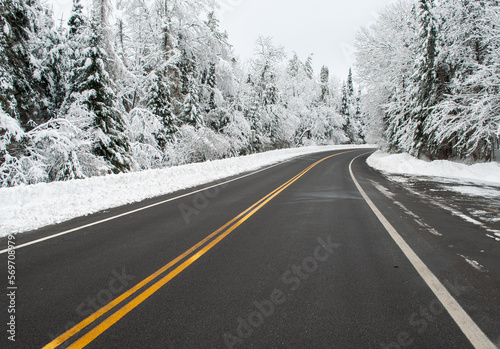 Snow Covered Forest, Route 10 In Hamilton County, Adirondack Forest Preserve, New York, USA