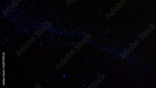 Sea sparkle (Noctiluca scintillans) in the sand photo