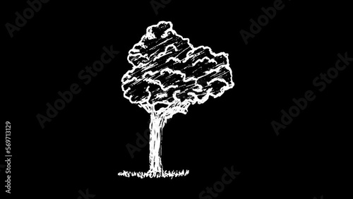 Wiggling Hand Drawn Tree 5