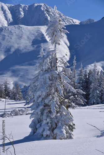 Fototapeta Naklejka Na Ścianę i Meble -  Tatry, Dolina Gąsienicowa, zima, śnieg, mróz, pogoda