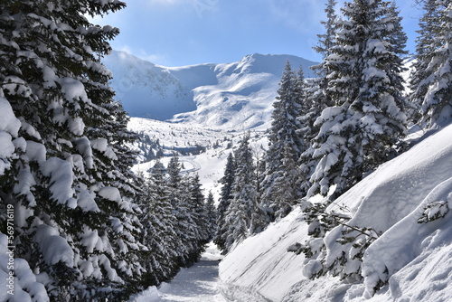 Fototapeta Naklejka Na Ścianę i Meble -  Tatry, Dolina Gąsienicowa, zima, śnieg, mróz, pogoda