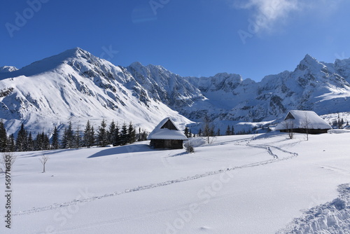 Fototapeta Naklejka Na Ścianę i Meble -  Tatry, Dolina Gąsienicowa, zima, śnieg, mróz, pogoda