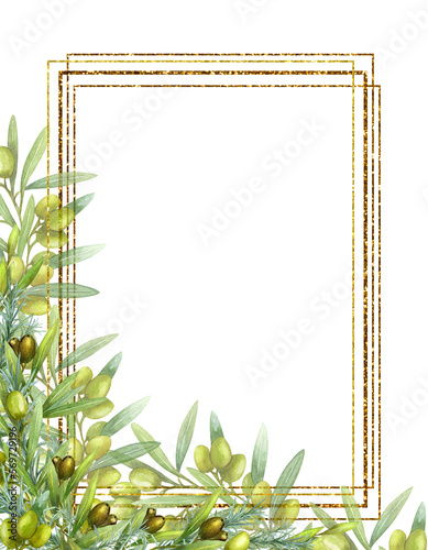 Border, frame, banner olive branch with fruits, watercolor illustration. The drawing is isolated. Design for postcards, packaging and fabrics.