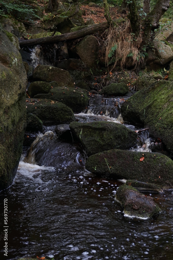 Stream on the Rocks