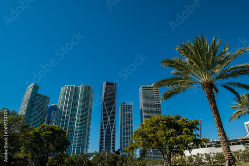 Downtown of the city of Miami, USA. Miami Skyline. modern building in miami city florida usa america.  © Strikernia