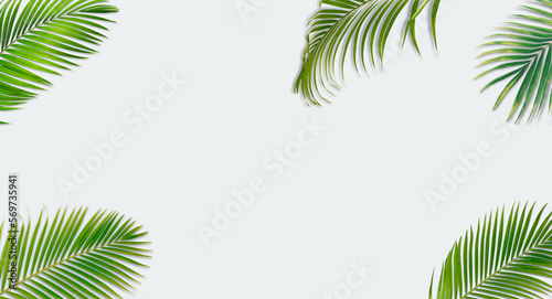 Palm leaves background © Suraphol