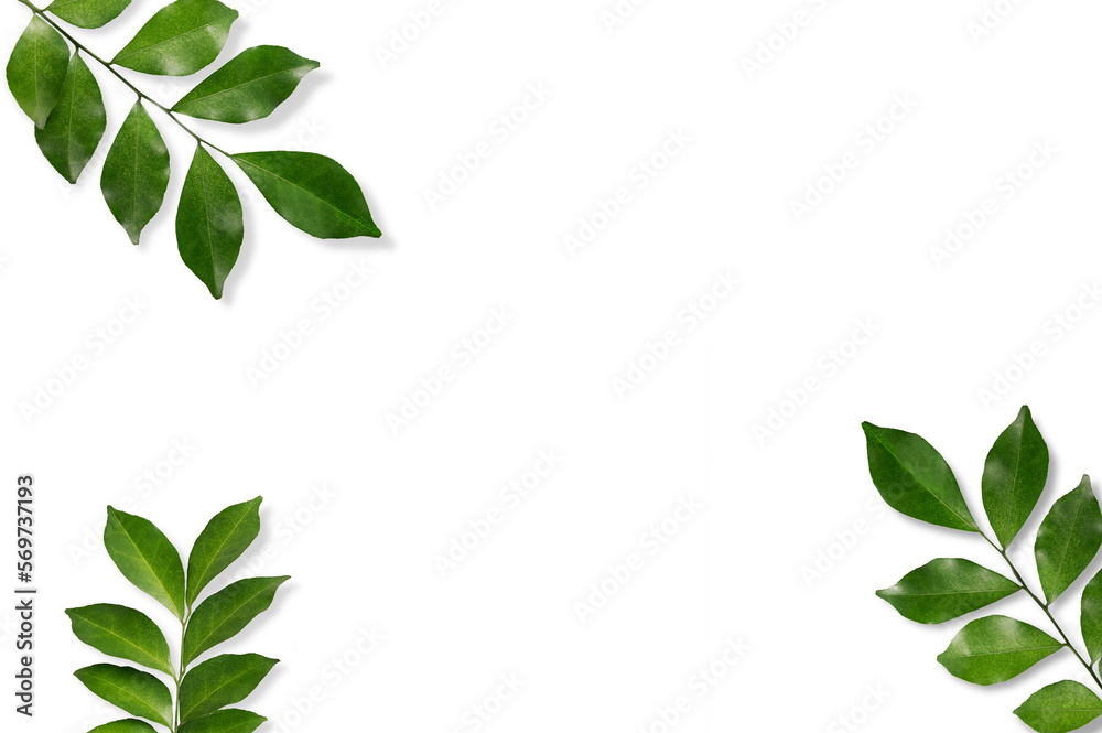 Green leaves frame on white background. Green leaves frame on white background.