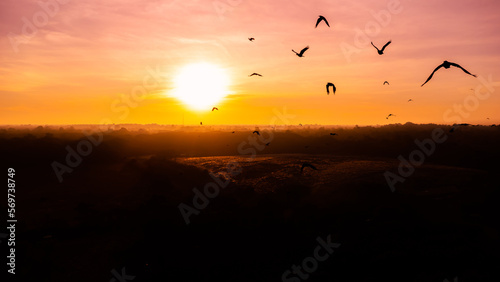motion of birds flying on the sky at sunrise.Flock of crows flying in the wind.selection focus.