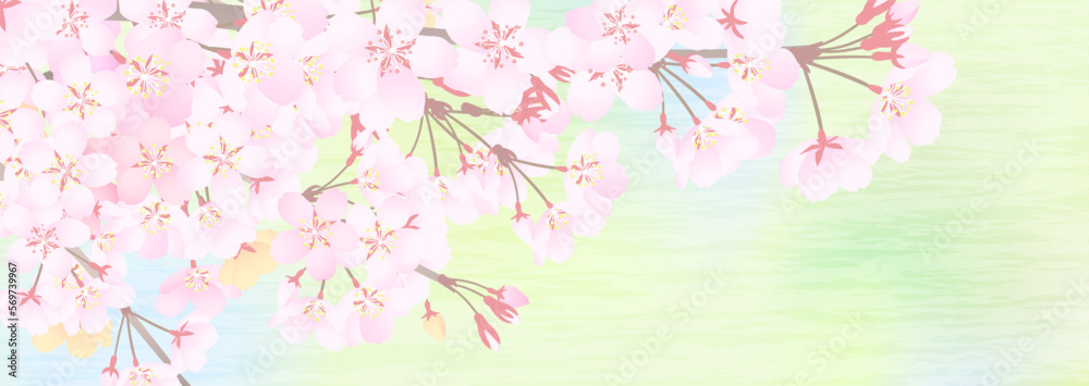 明るくぼけた新緑背景と桜花の枝のイラスト