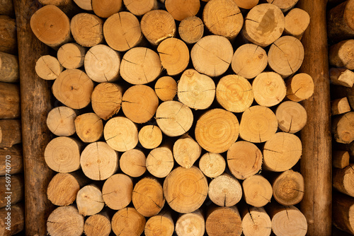 Background of stacked round brown logs.