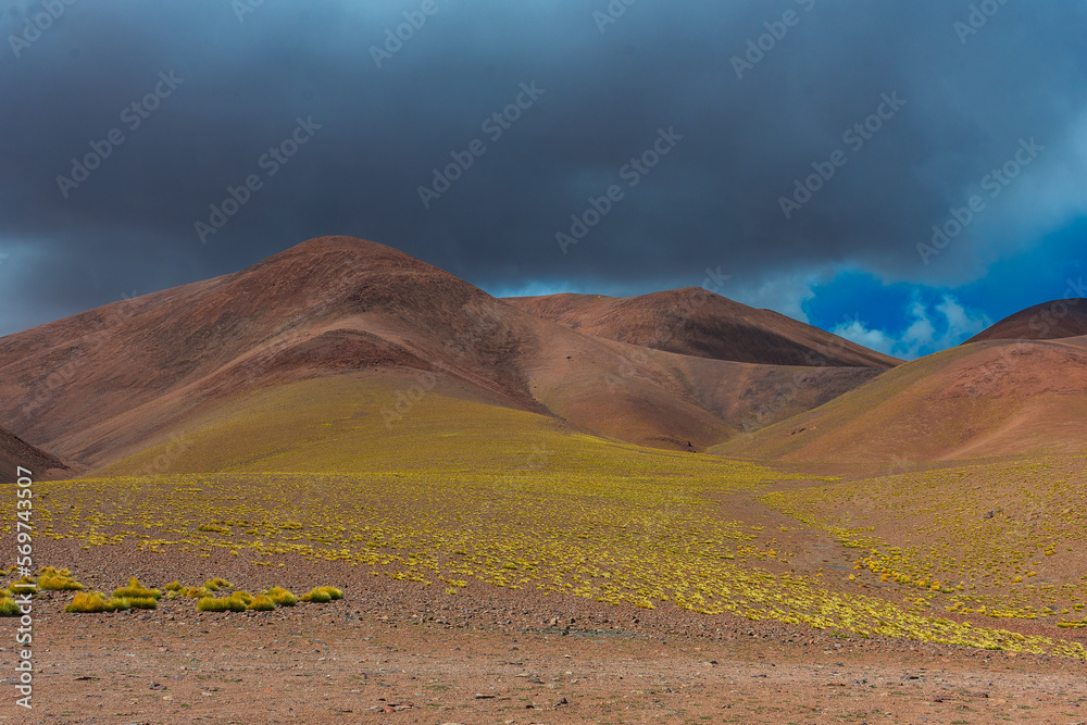 Pradera verde con la montaña de colores en Antofagasta de la sierra