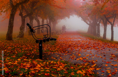 Fall at Burnaby Mountain