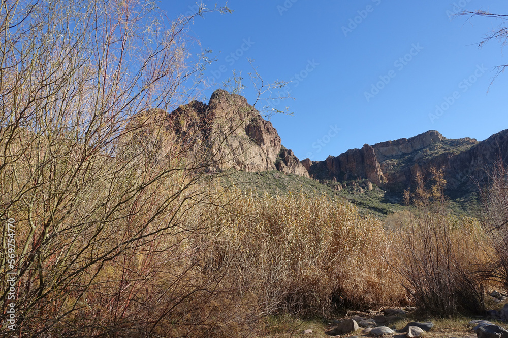 Salt River scenic landscapes delight the eye.  The banks of the Salt River in Tonto National Forest offer dramatic and breathtaking views.