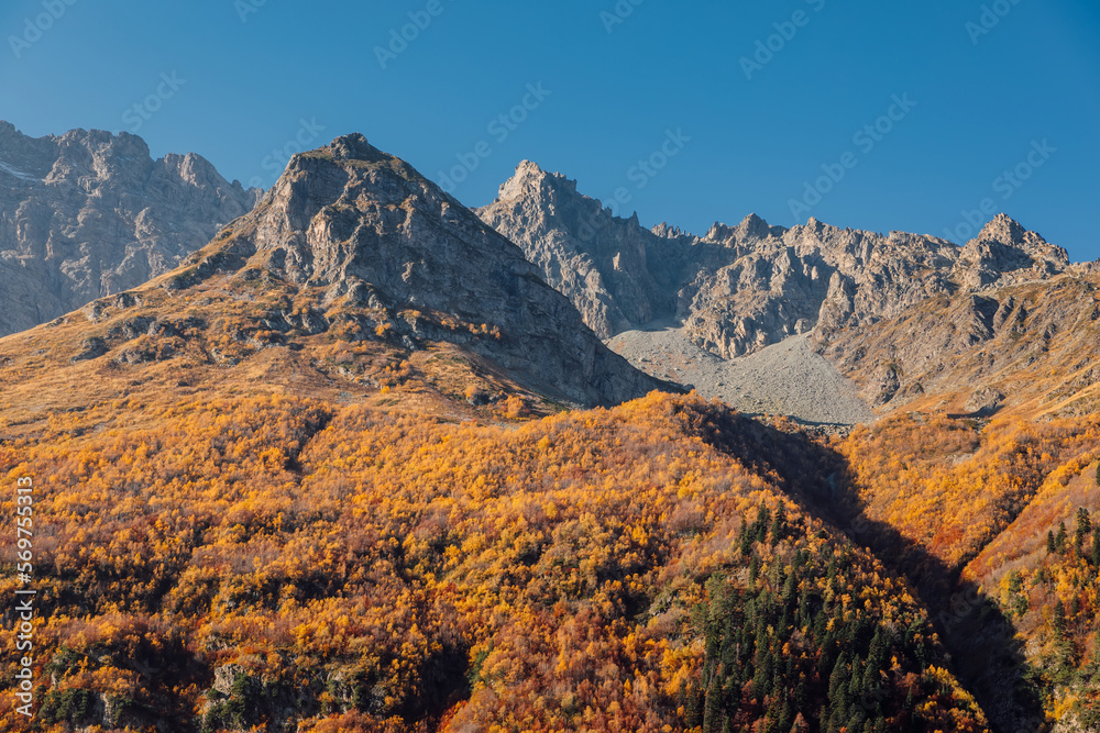 Rocky mountains and autumnal tress. Mountain landscape in Alps