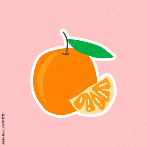 vector sticker orange fruit, slice orange fruit hand drawn
