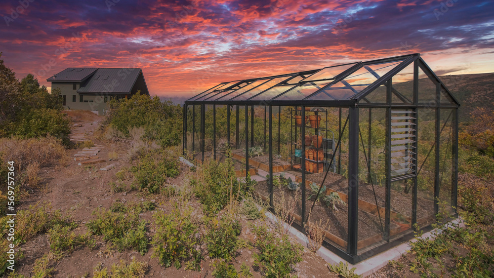 Panorama Dramatic sunset with clouds Glass greenhouse with metal frameworks on a vast of shrubs and bushes. Greenhouse against the large dark green two-storey house with solar panels 