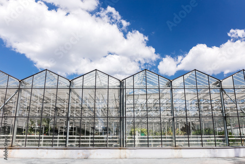 large commercial greenhouses for agricultural production under cloudy sky