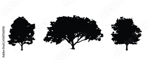 illustration of a silhouette of a tree with white background. eps 10