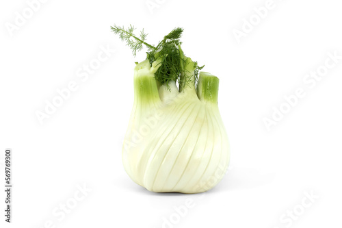 Single fennel bulb with leaves over white