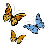 butterflies in diferent colors