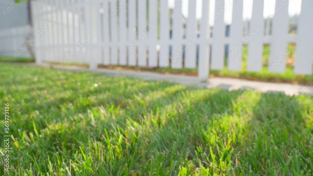 Well-groomed country lawn in summer. The rays of the sun break through the white fence onto the green juicy mowed lawn. Nice warm atmosphere