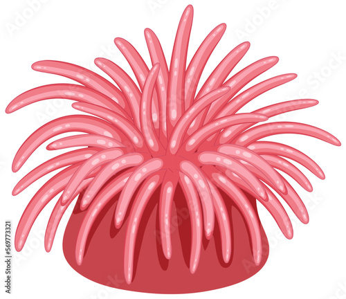 Isolated sea anemones  shoreline animal