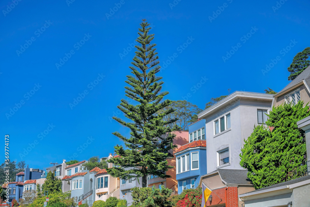 Facade of houses in sunny San Francisco California residential neighborhood. Beautiful homes surrounded by lush green trees and foliage with blue sky background.
