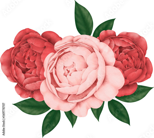 pink rose with leaves