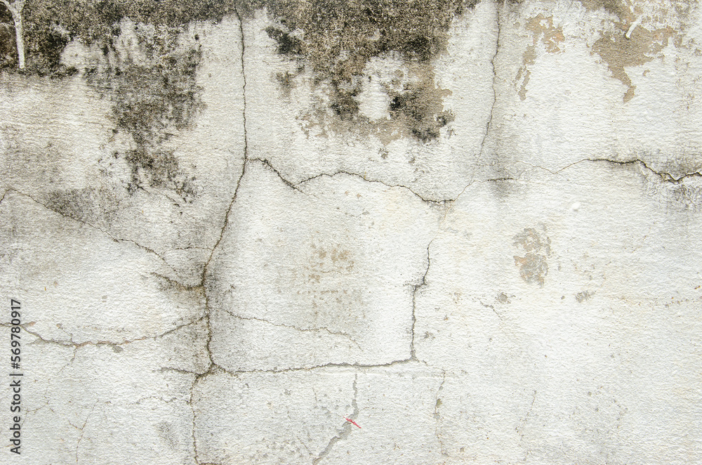 Obraz premium Small cracks on old cement surface with mold on surface