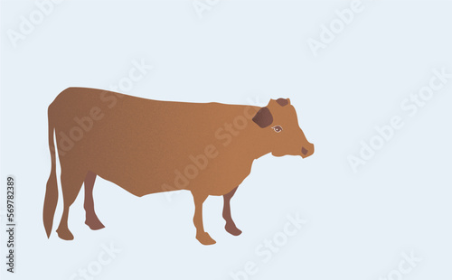 Cow Vector illustration                                  