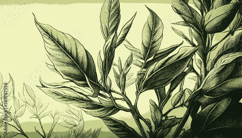 plantation abstract plant background illustration vector graphic