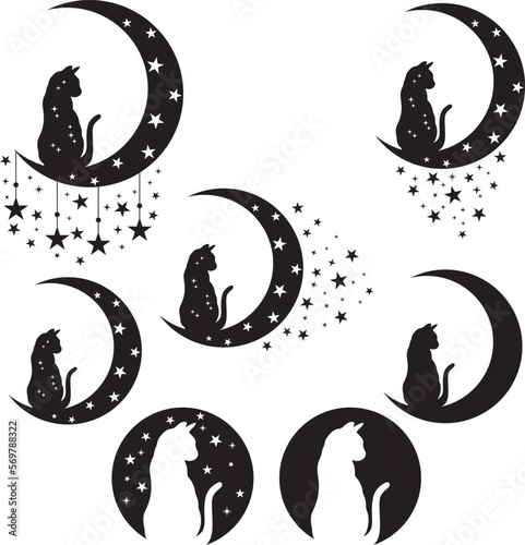 Black cat, Mystical black cat, Witch Halloween magic vector on white background