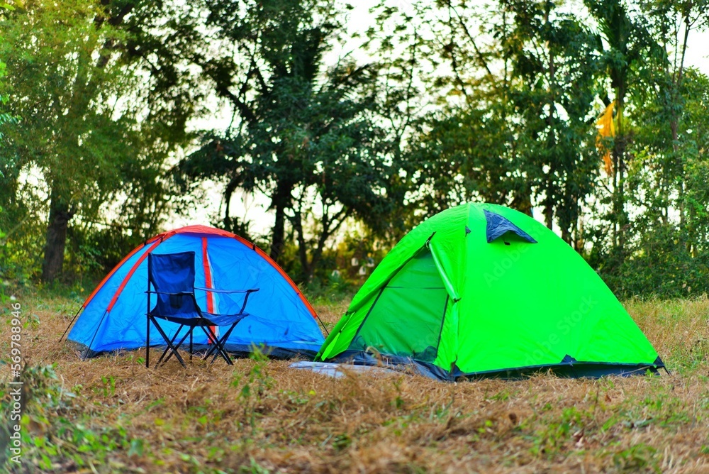 Camping green tent in forest background.
